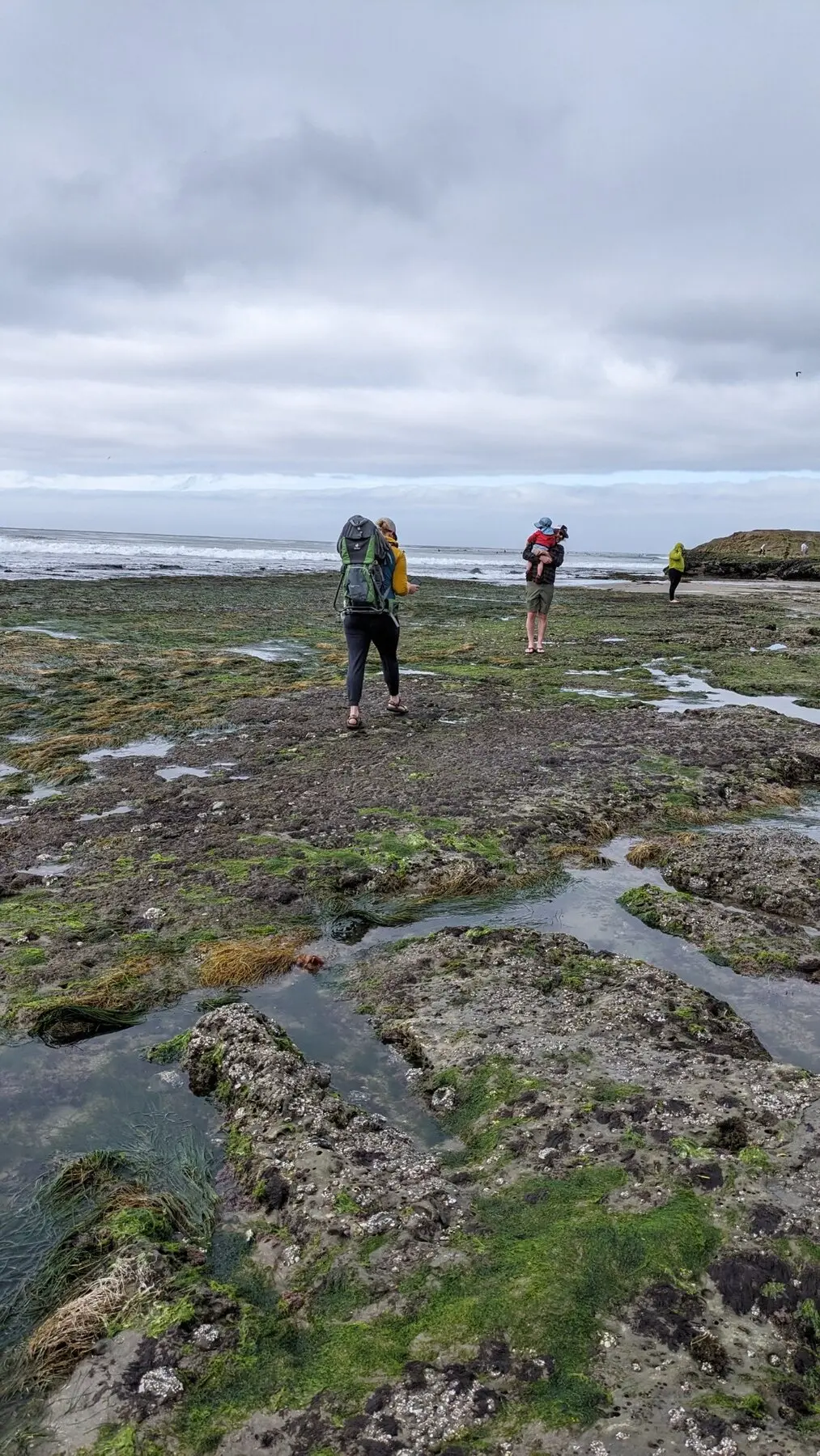 People hiking along the Santa Cruz coast