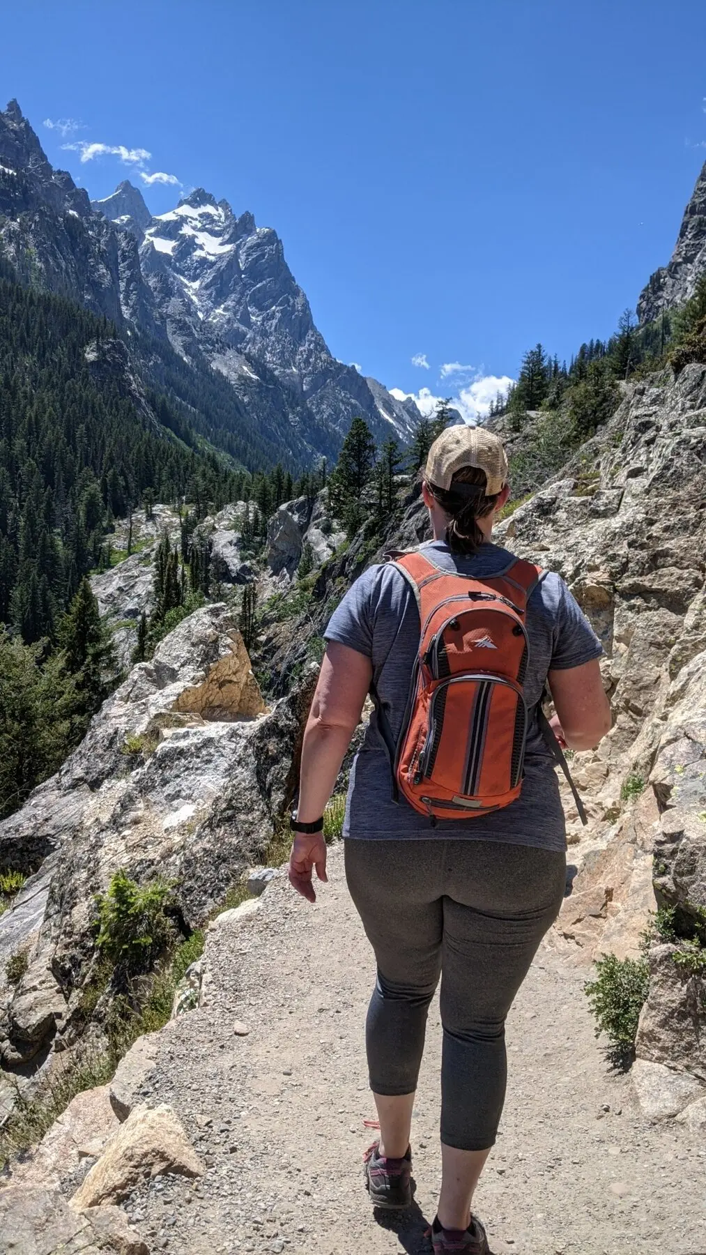 Hiker returning to a mountain trail
