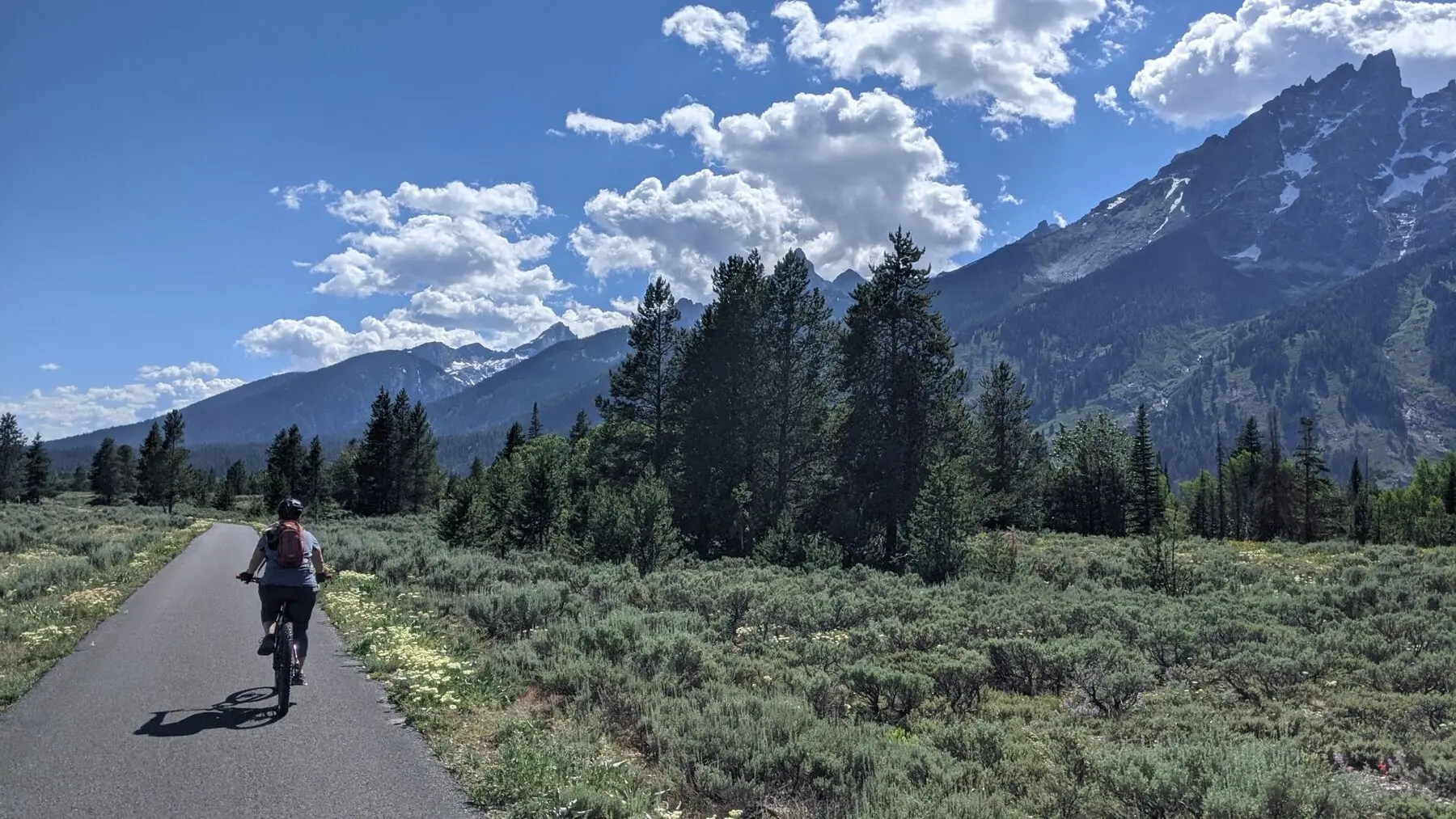 Cyclist riding through the mountains